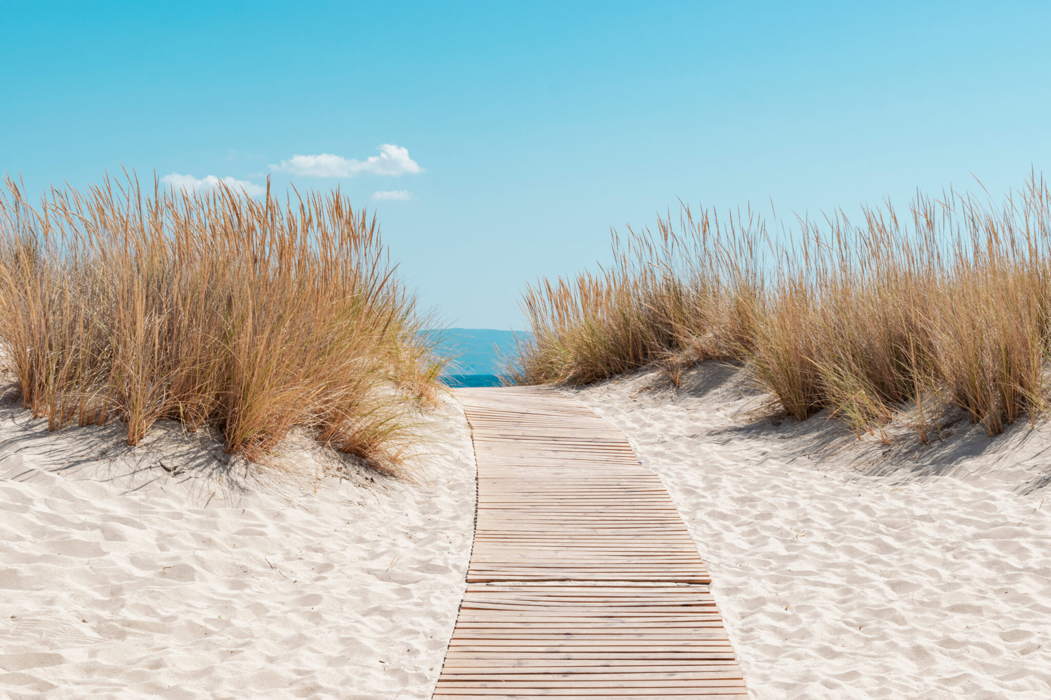 The,Path,To,The,Beach,,The,Perfect,Destination,During,Summer.