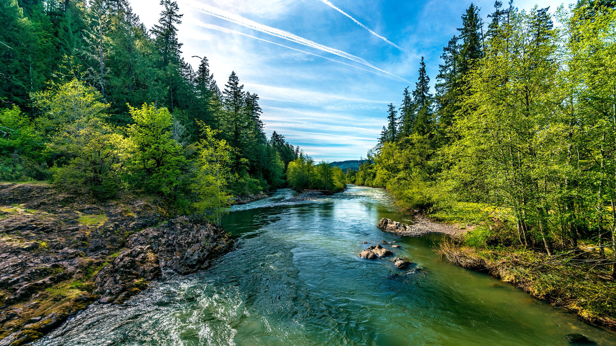 A,Bright,Blue,River,Flowing,Through,An,Oregon,Forest,As